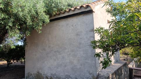 cocalni_02