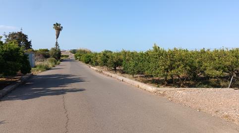 cocalni_06